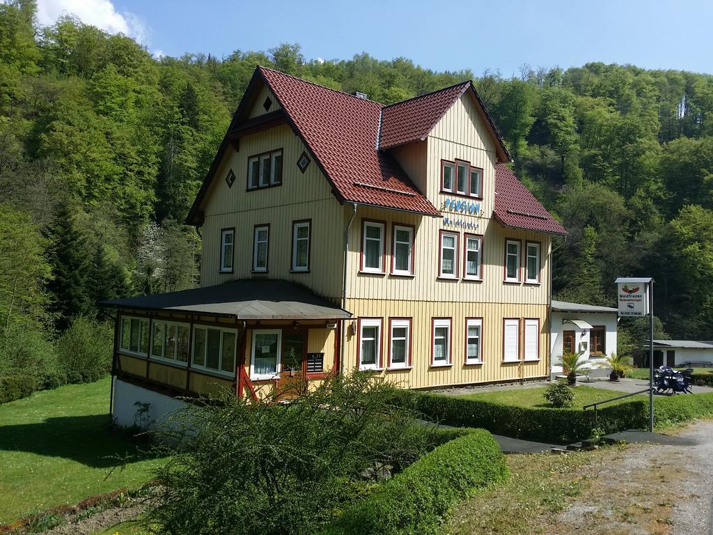 Pension Waldfrieden Тале Екстер'єр фото